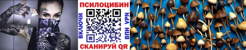 Галлюциногенные грибы MAGIC MUSHROOMS  Купить закладки  Нахабино 